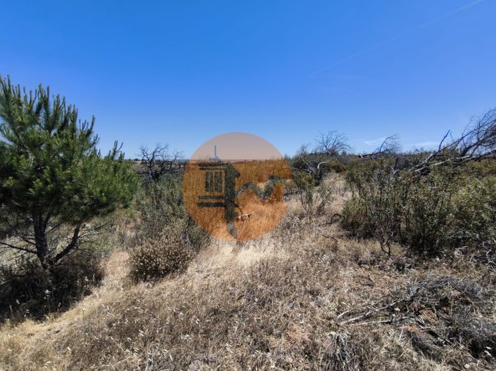 Image No.8-Plot for sale