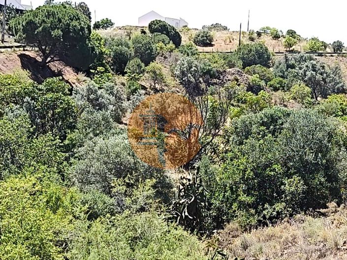 Image No.6-Plot for sale