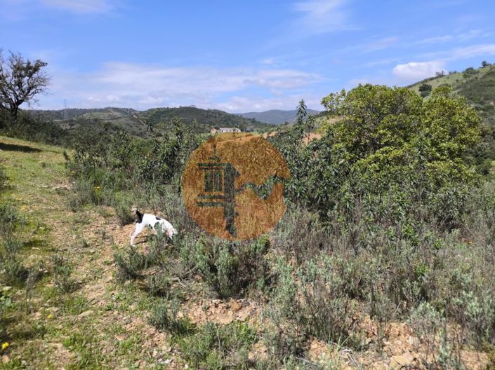 Image No.12-Plot for sale