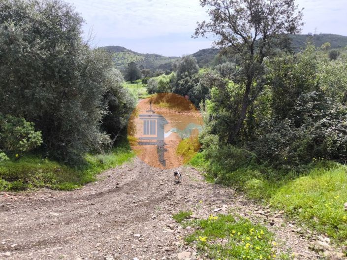 Image No.18-Plot for sale