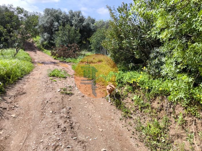 Image No.30-Plot for sale