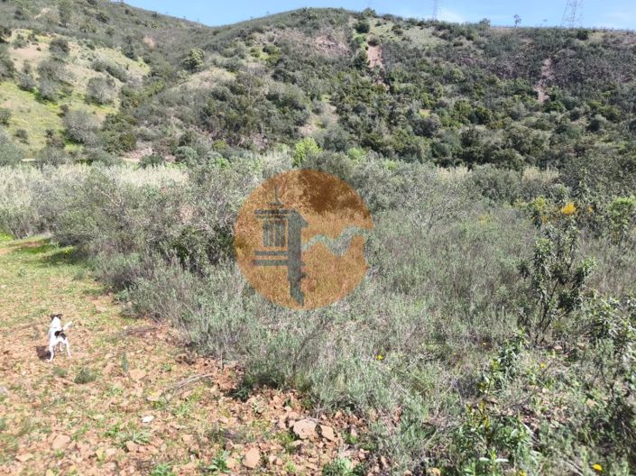 Image No.57-Plot for sale