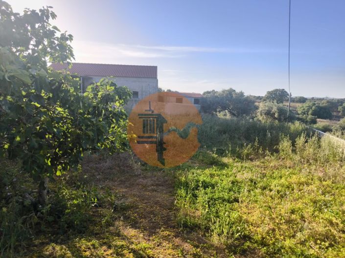 Image No.4-Plot for sale
