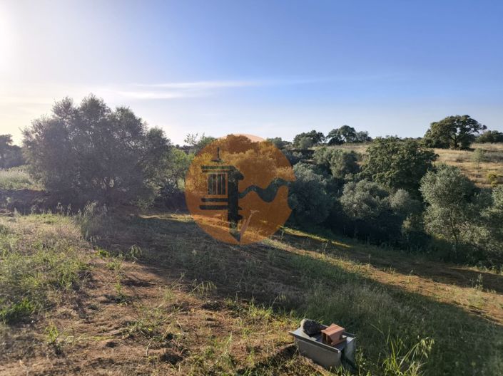 Image No.8-Plot for sale