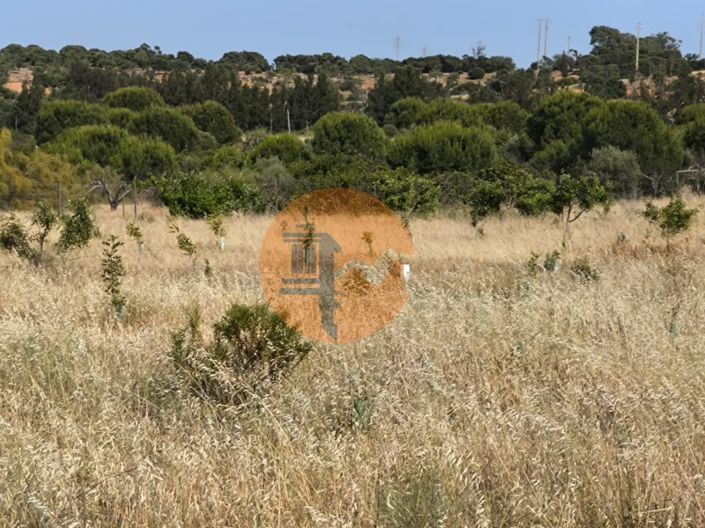 Image No.60-3 Bed Commercial for sale