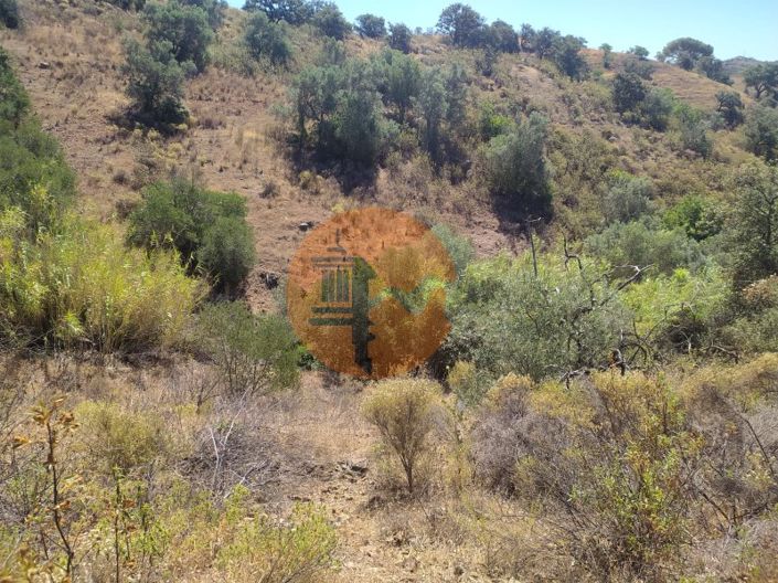 Image No.9-Plot for sale