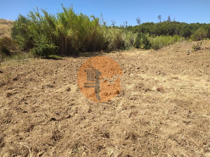 Image No.4-Plot for sale