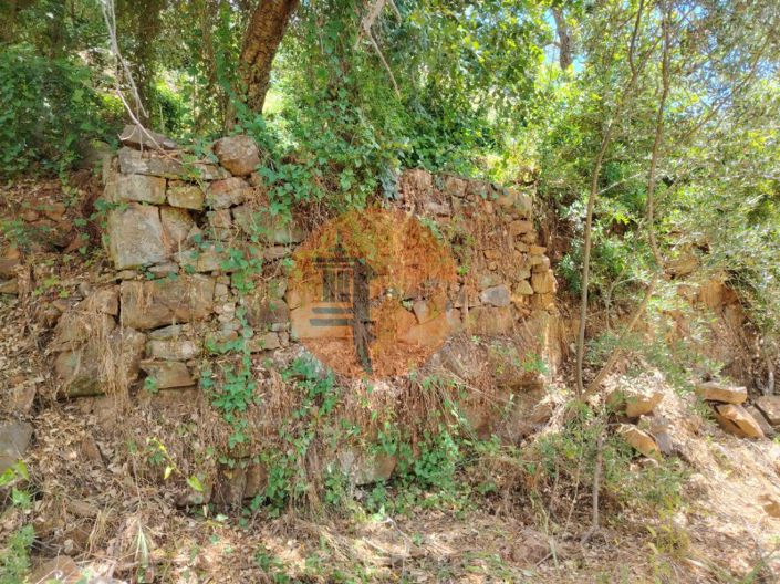 Image No.2-Plot for sale