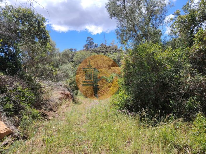 Image No.3-Plot for sale