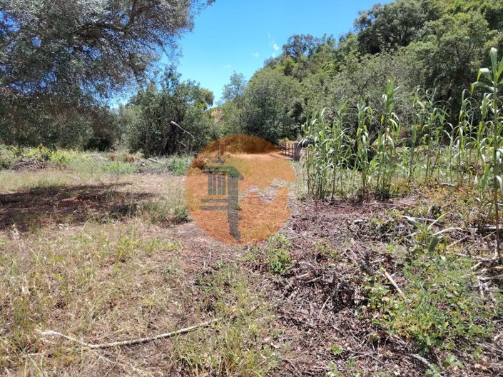 Image No.9-Plot for sale
