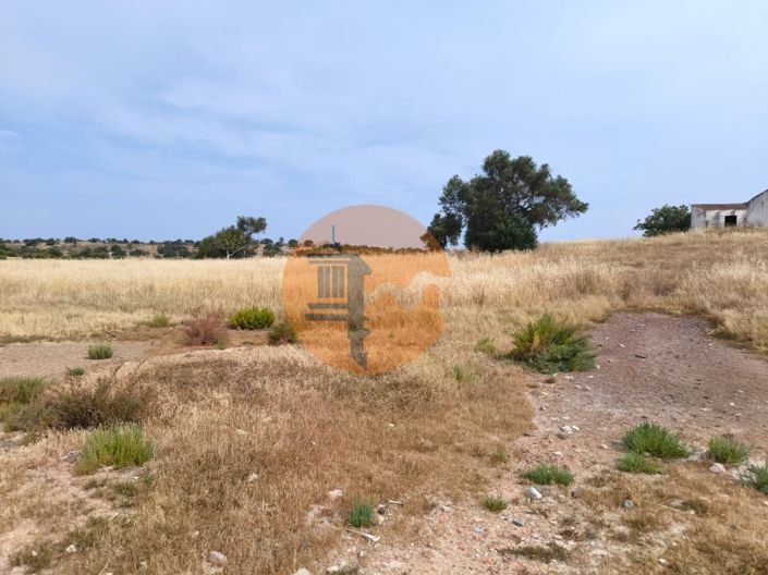 Image No.11-Plot for sale
