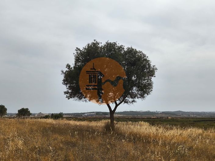 Image No.4-Plot for sale
