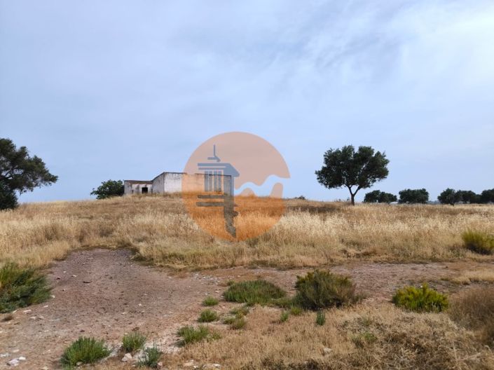 Image No.7-Plot for sale