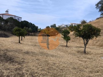 id8912d201-0000-0500-0000-000019cc7ab1