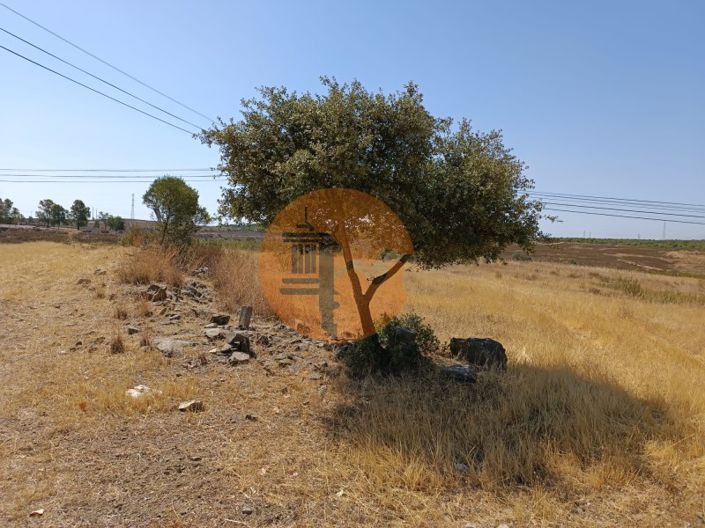 Image No.28-Plot for sale