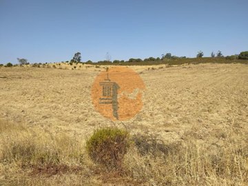 id99d6d201-0000-0500-0000-000019dbdf51