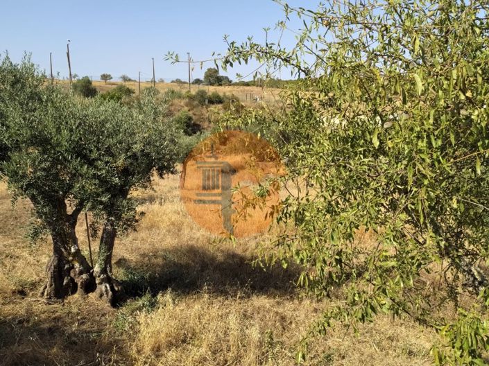 Image No.5-Plot for sale