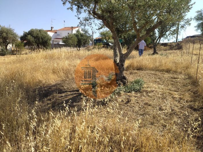 Image No.8-Plot for sale