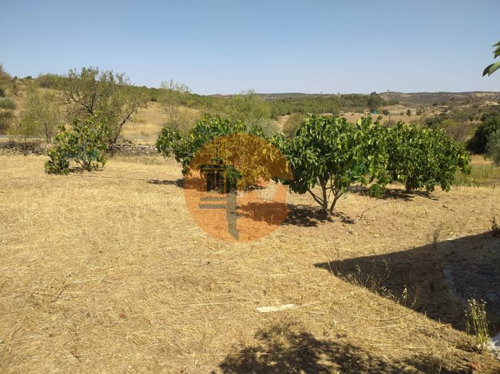 Image No.19-Plot for sale