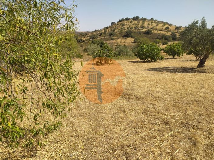 Image No.20-Plot for sale