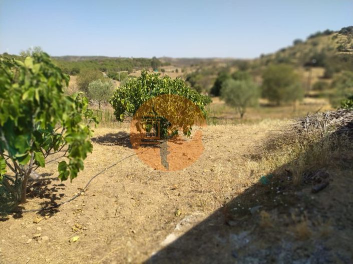 Image No.5-Plot for sale