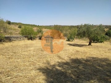 id551ed301-0000-0500-0000-000019e0dd46