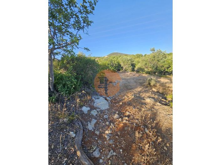 Image No.17-Plot for sale