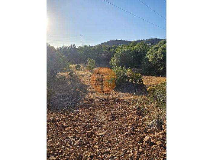 Image No.19-Plot for sale
