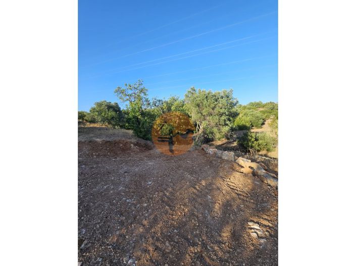 Image No.4-Plot for sale