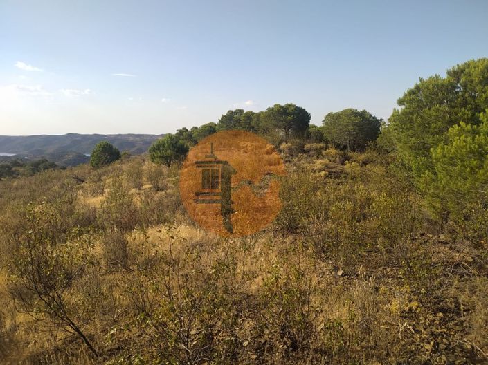 Image No.5-Plot for sale