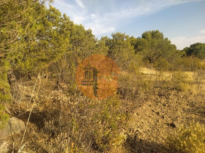 Image No.6-Plot for sale