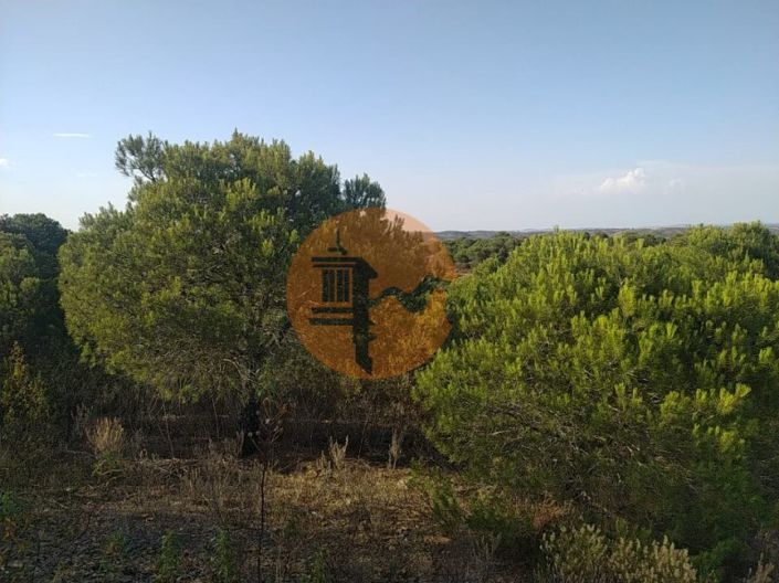 Image No.7-Plot for sale