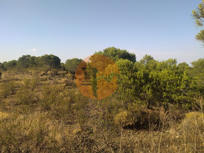 Image No.9-Plot for sale