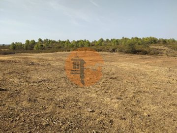 id7cf8d001-0000-0500-0000-000019f41fa6