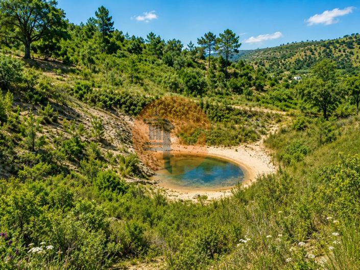 Rustic land with water pond and good access, Santa Catarina da Fonte do Bispo