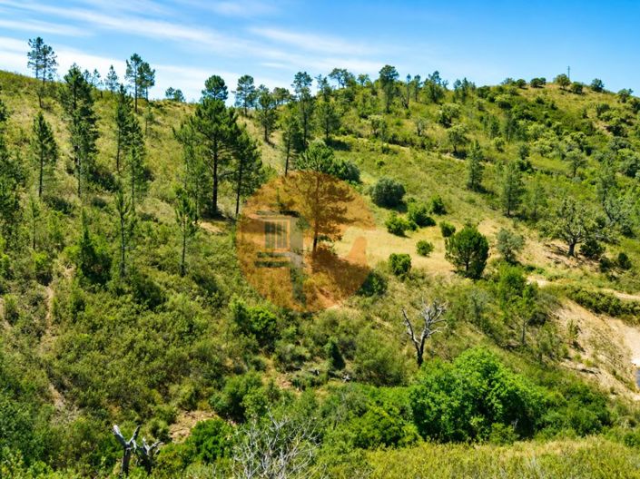 Image No.3-Plot for sale