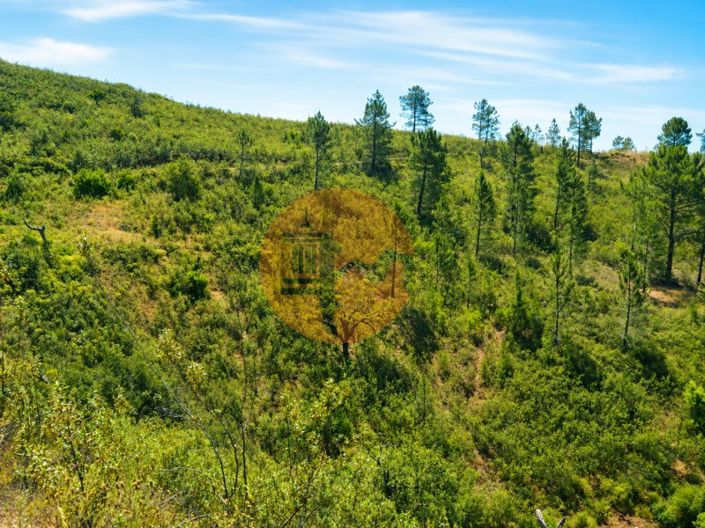 Image No.4-Plot for sale