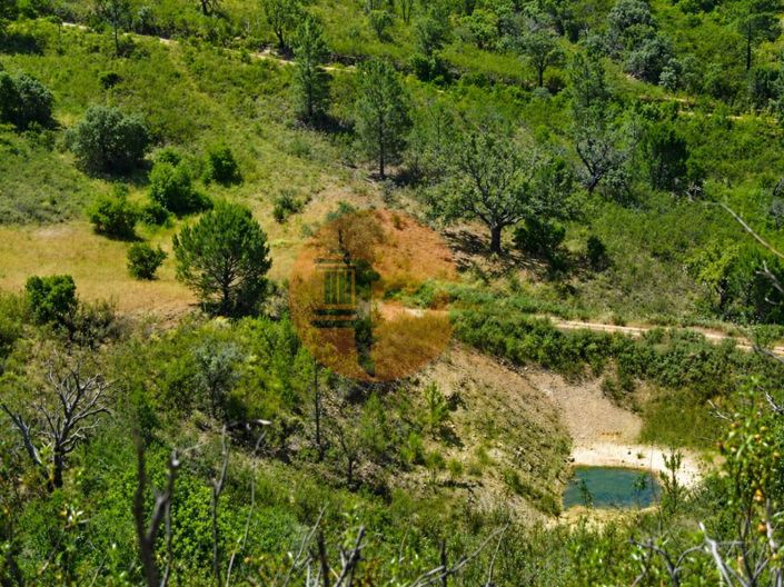 Image No.6-Plot for sale