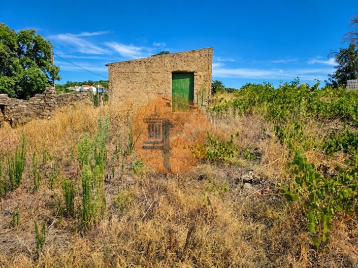 Image No.18-4 Bed House for sale
