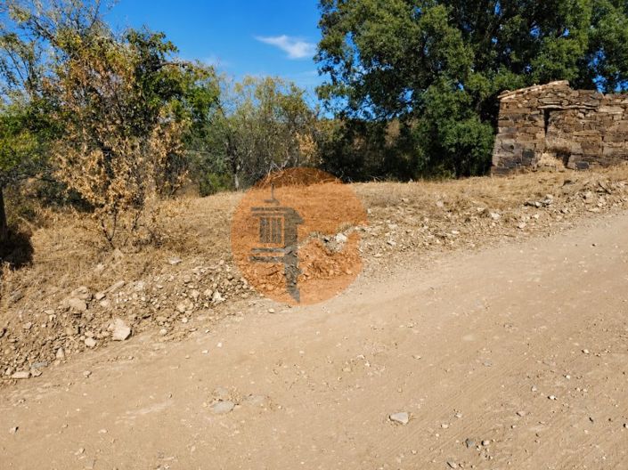 Image No.19-4 Bed House for sale