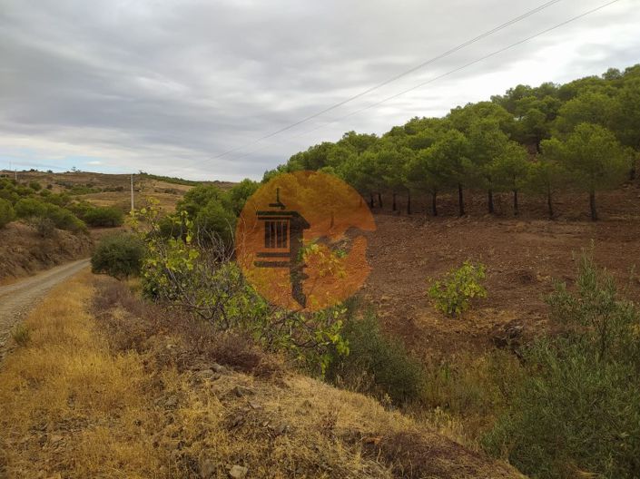 Image No.17-Plot for sale