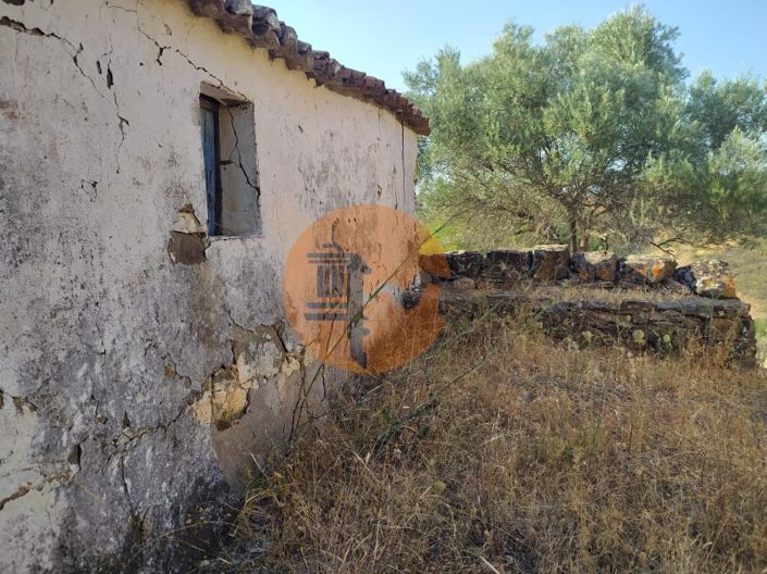 Image No.12-Farmhouse for sale