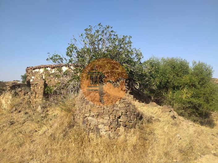 Image No.18-Farmhouse for sale