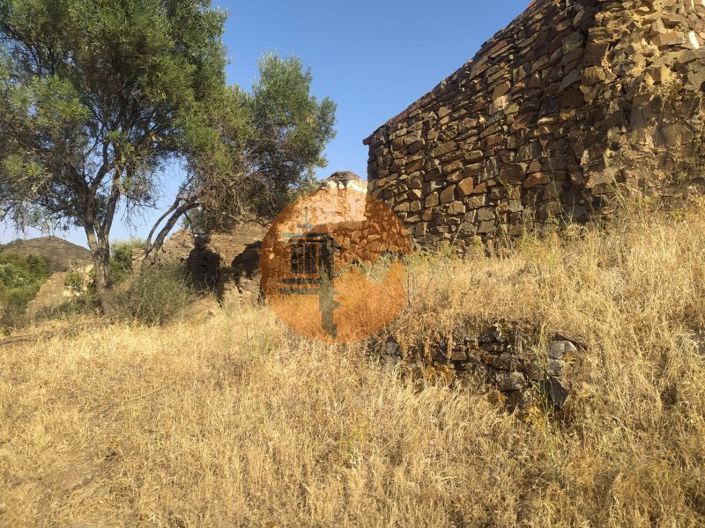 Image No.19-Farmhouse for sale