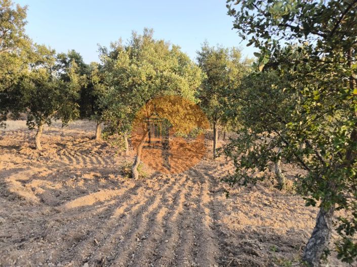 Image No.6-Terrain à vendre à Castro Marim