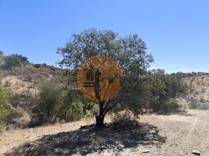 Rustic land with 11.34 hectares | Odeleite, Castro Marim