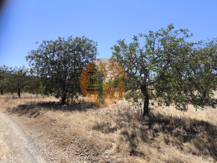 Image No.20-Plot for sale