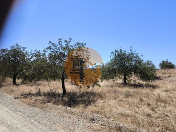 idf44ed801-0000-0500-0000-00001a5ba698