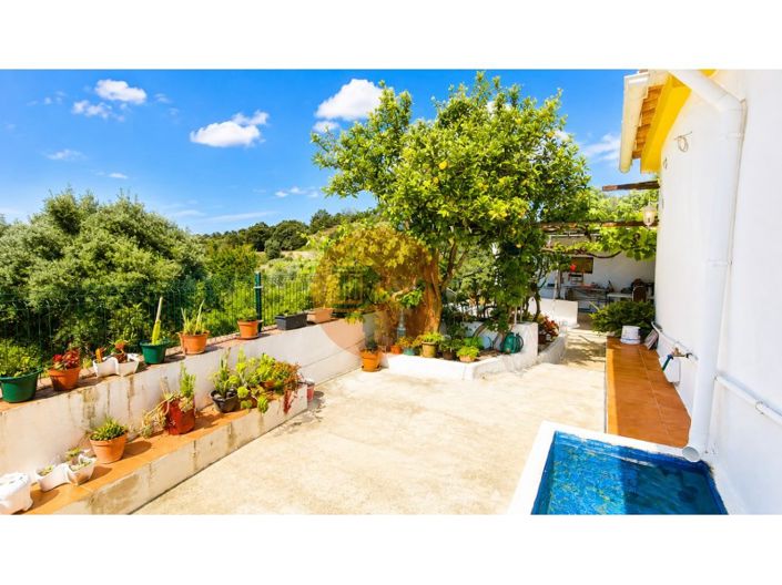 Image No.19-4 Bed House for sale