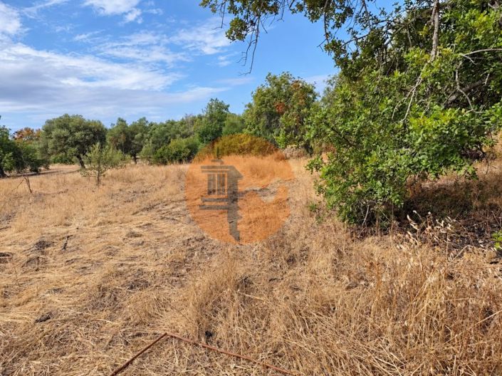 Image No.5-Plot for sale